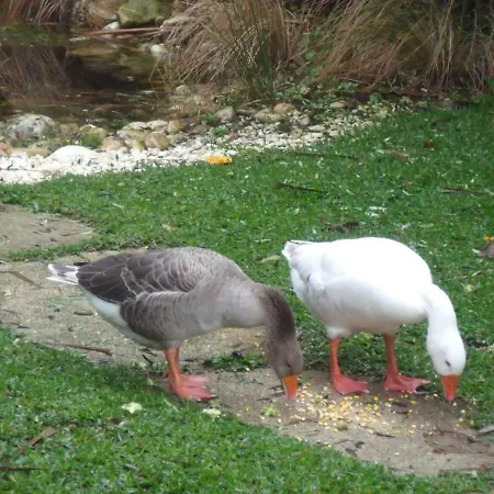 Quinta Victoria Giao (Porto)