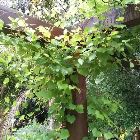 Quinta Victoria Appartamento *