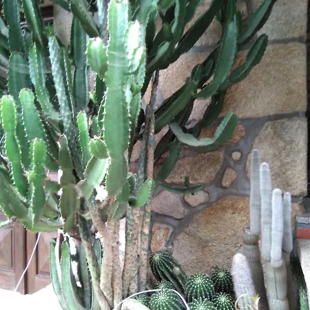 Quinta Victoria Apartment *