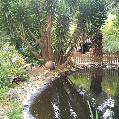 Quinta Victoria Gião