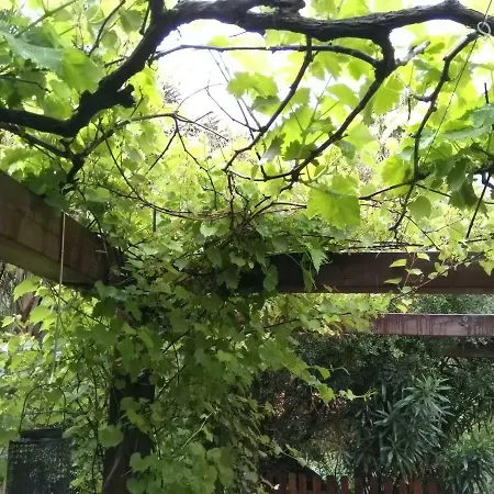 Quinta Victoria *
