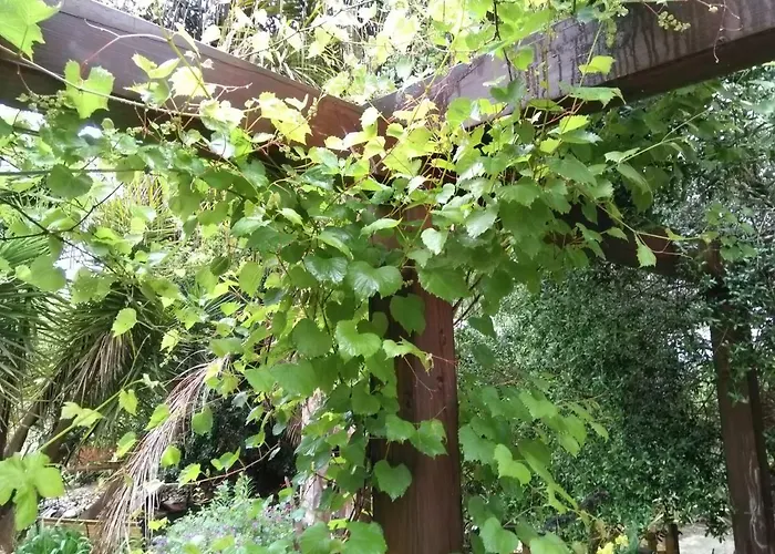 Quinta Victoria Lejlighed *