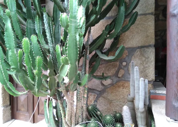 Quinta Victoria Appartamento *