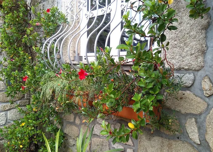 Lejlighed Quinta Victoria