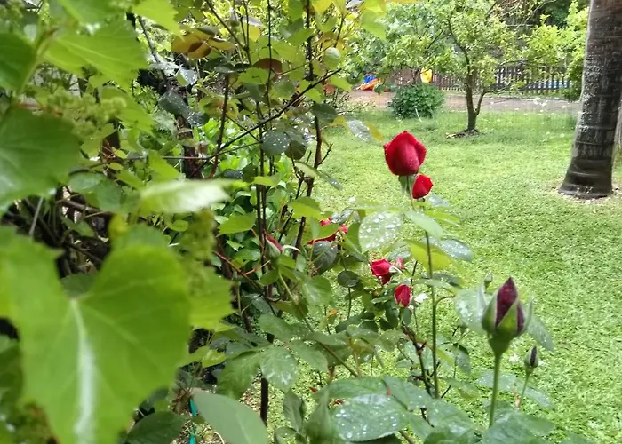 Quinta Victoria Appartamento Gião